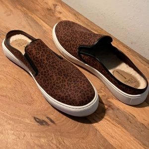 Walk on the wild side